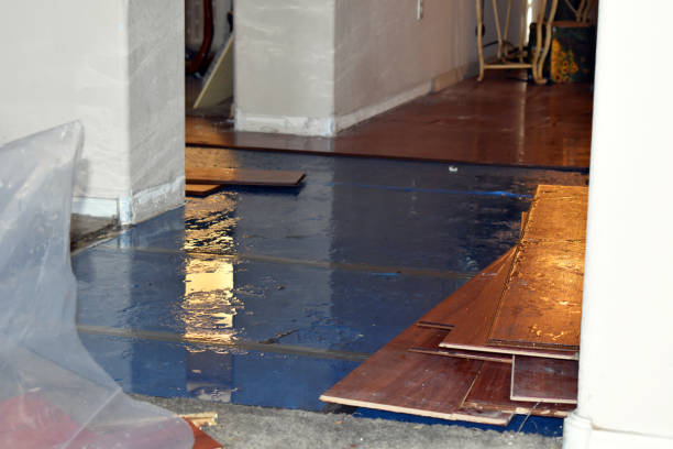 Professional Burst Pipe Cleanup technician working in Wellman, IA